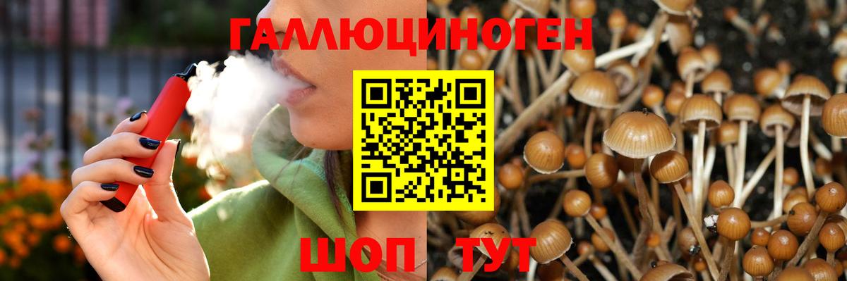 Галлюциногенные грибы Psilocybe  Галлюциногенные грибы GOLDEN TEACHER  Вход с VPN  Миллерово 